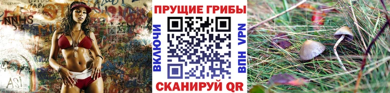 Псилоцибиновые грибы Psilocybe где купить наркоту Химки